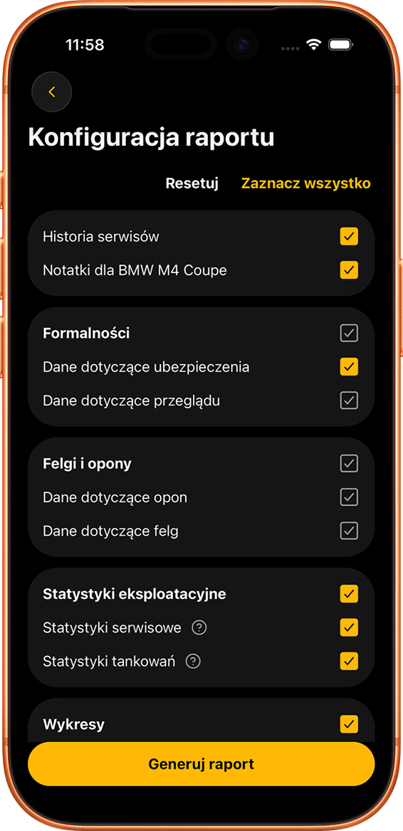 Raport online i opis ogłoszenia – screenshot